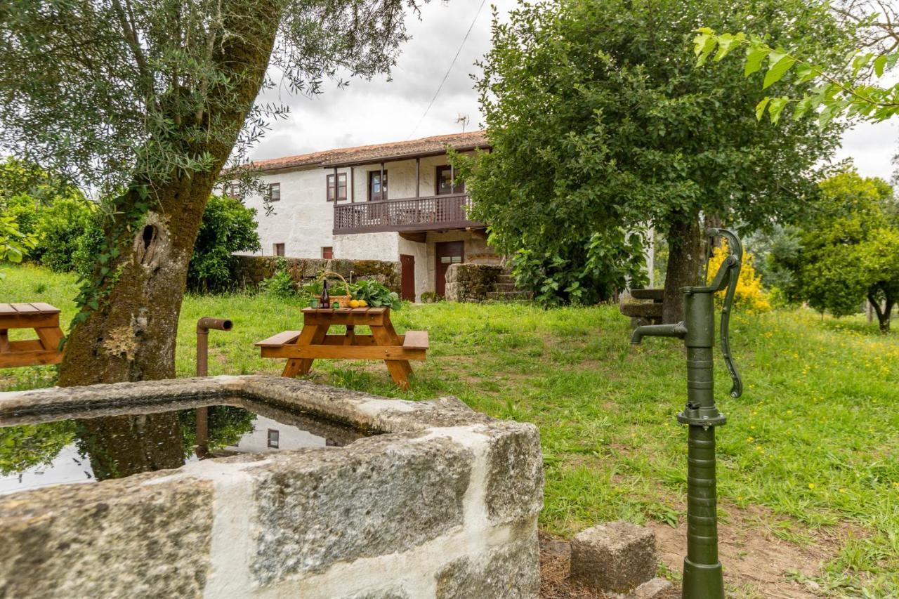 Casa Lavoura Em Requeixo Casa de hóspedes Celorico De Basto Exterior foto