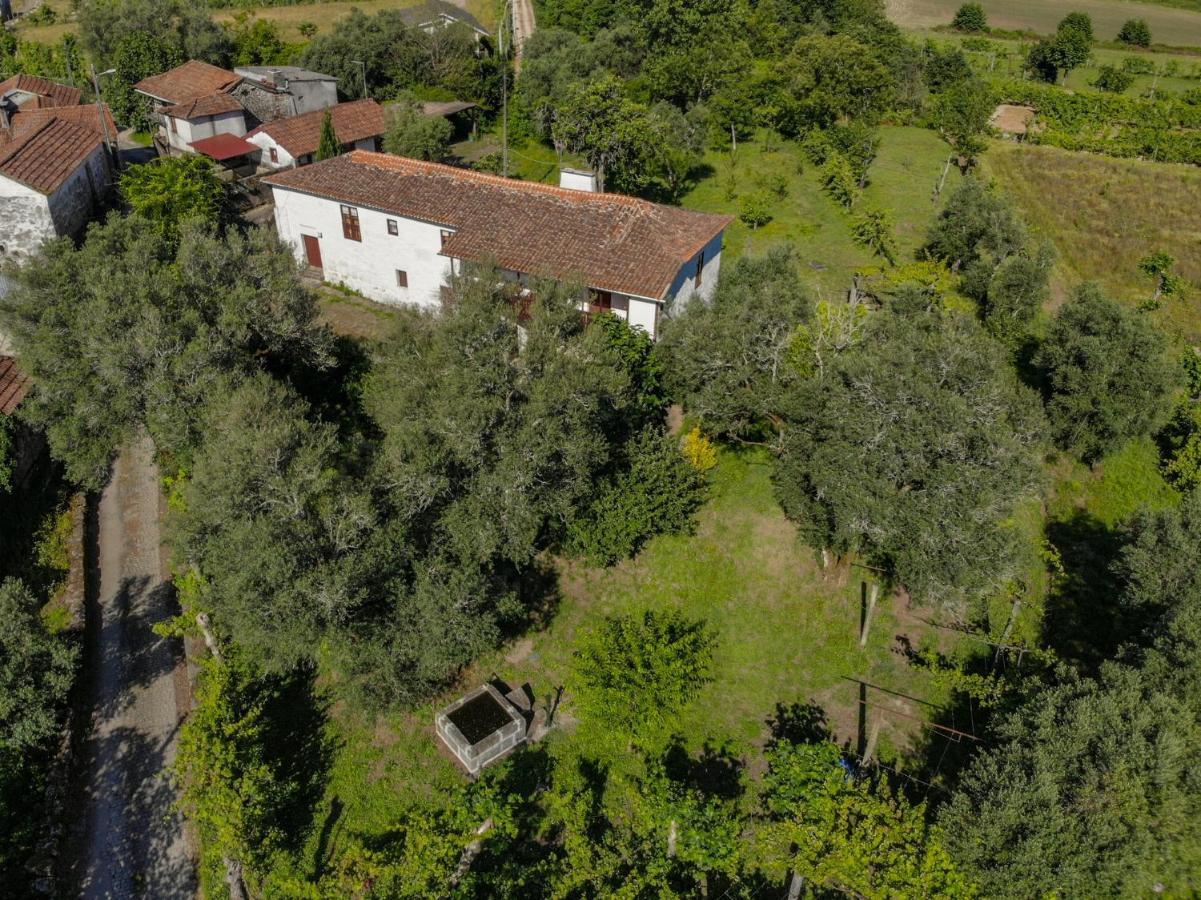 Casa Lavoura Em Requeixo Casa de hóspedes Celorico De Basto Exterior foto