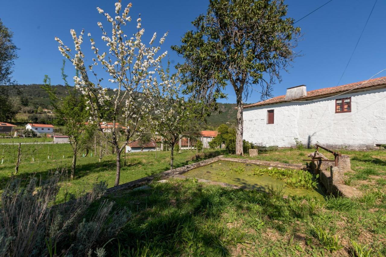 Casa Lavoura Em Requeixo Casa de hóspedes Celorico De Basto Exterior foto